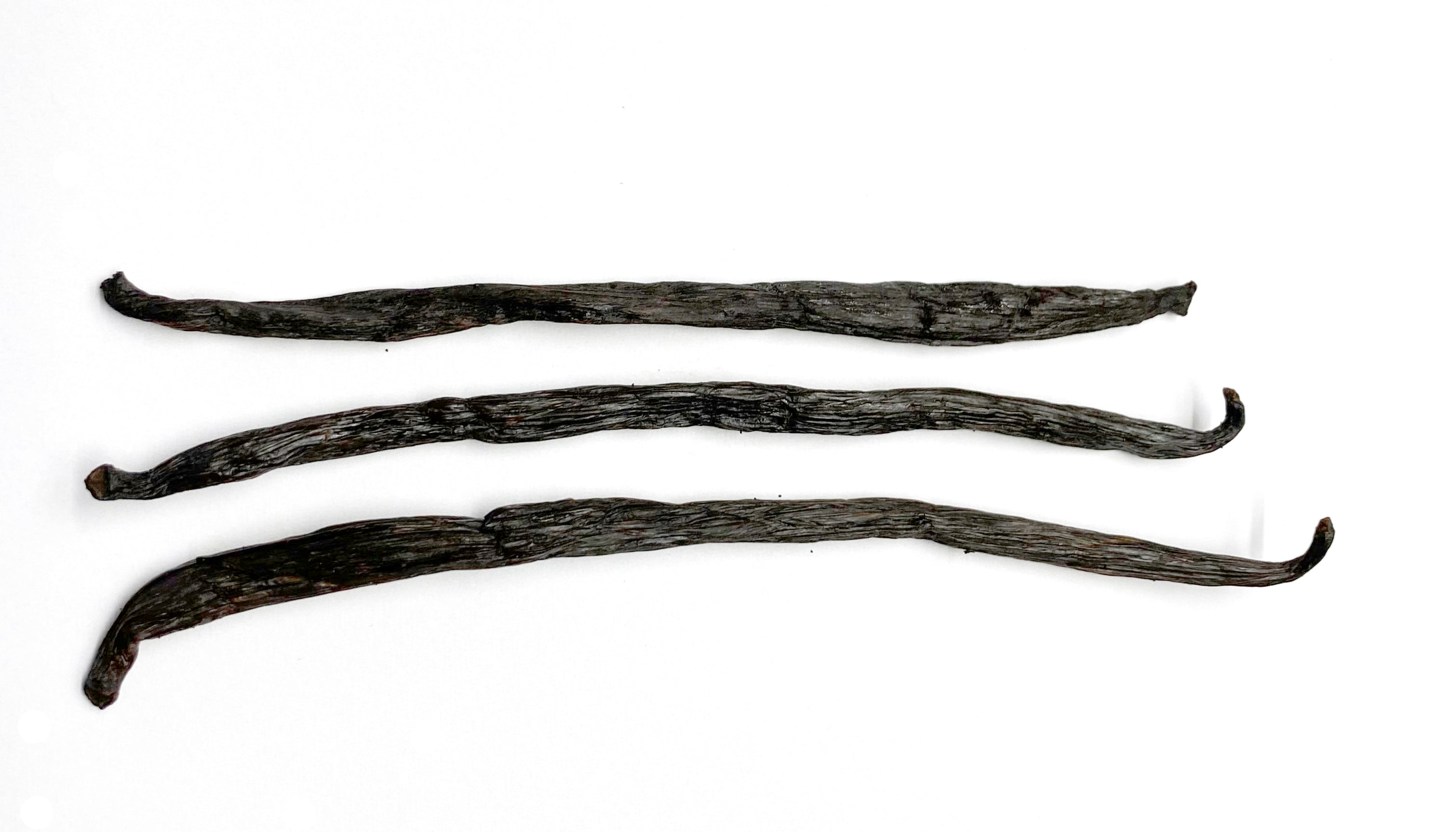 Fairtrade Bio Alor Vanilleschoten 12/15 cm