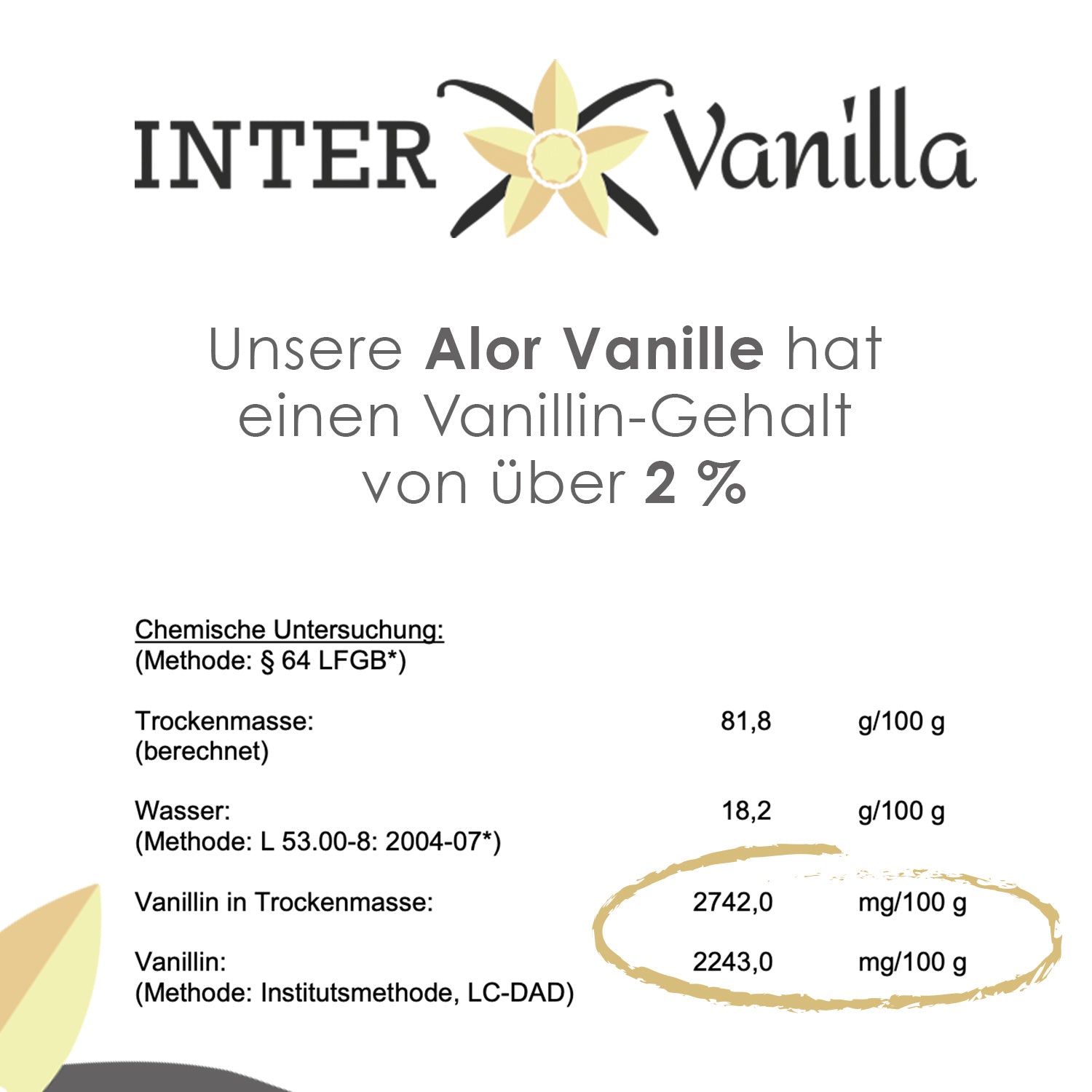 Fairtrade Bio Alor Vanilleschoten 14-17 cm